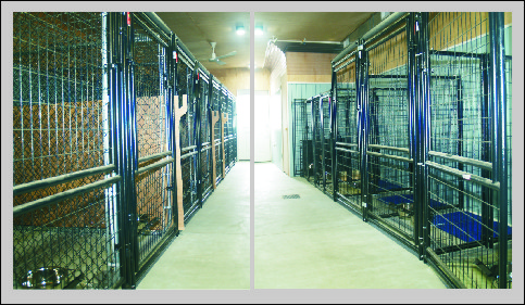 Kennels